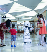 Load image into Gallery viewer, ParaBOT. Rent-A-BOT. Canbot U05