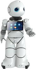 Load image into Gallery viewer, ParaBOT. Rent-A-BOT. Canbot U05