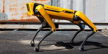 Load image into Gallery viewer, ParaBOT. Rent-A-BOT. Boston Dynamics Spot.