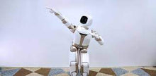 Load image into Gallery viewer, ParaBOT. Rent-A-BOT. UBTech Walker.