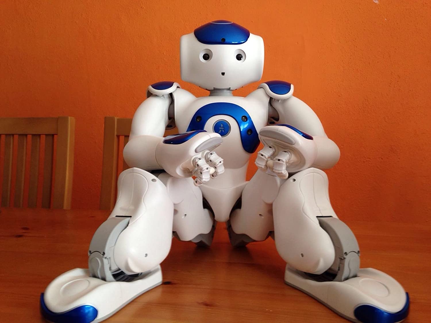 ParaBOT. Rent-A-BOT. Softbank Nao V6 Blue