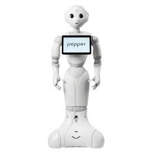 Load image into Gallery viewer, ParaBOT. Rent-A-BOT. Softbank Pepper
