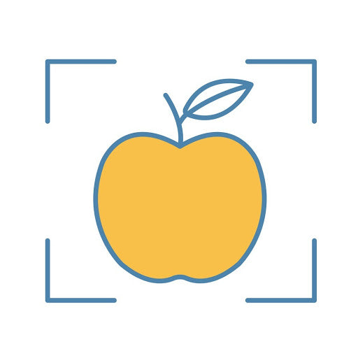 ParaSYS. Object Detection. Rent-A-Robot