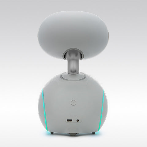 ParaBOT. Rent-A-BOT. Asus Zenbo Junior
