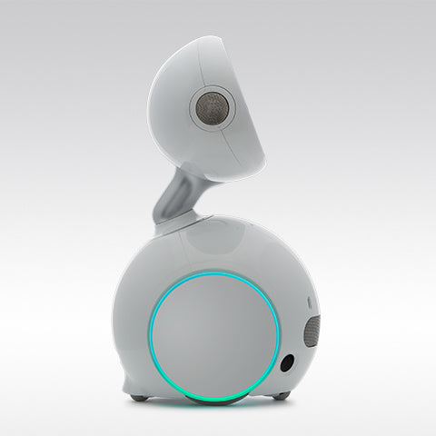 ParaBOT. Rent-A-BOT. Asus Zenbo Junior
