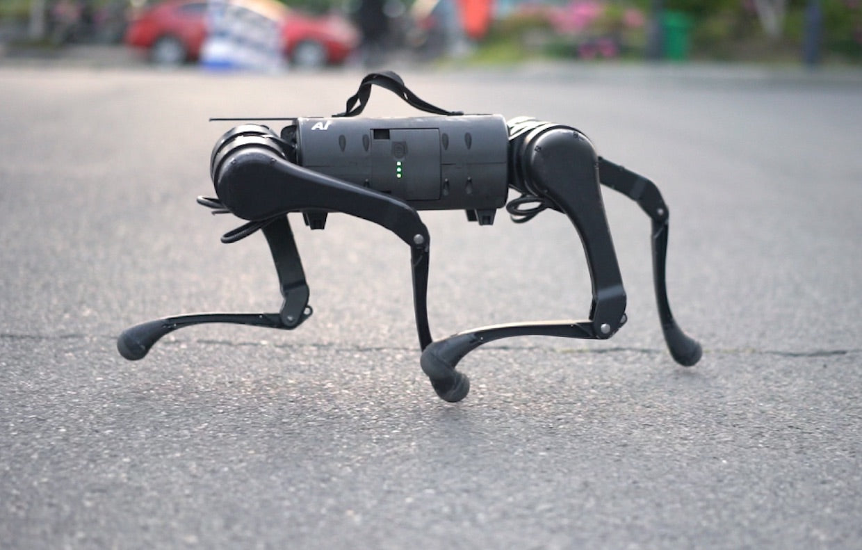 ParaBOT. Rent-A-BOT. Unitree Aliengo.