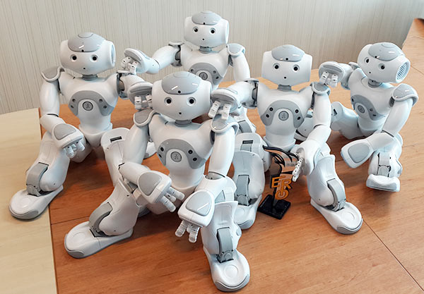 ParaBOT. Rent-A-BOT. Softbank Nao V6 White.