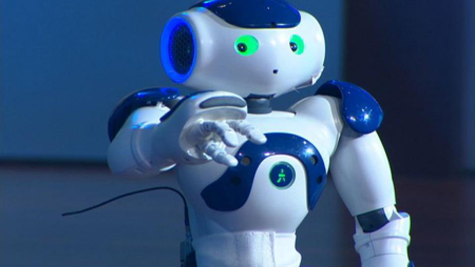 ParaBOT. Rent-A-BOT. Softbank Nao V6 Blue