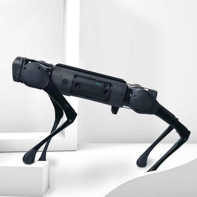 ParaBOT. Rent-A-BOT. Unitree Aliengo.