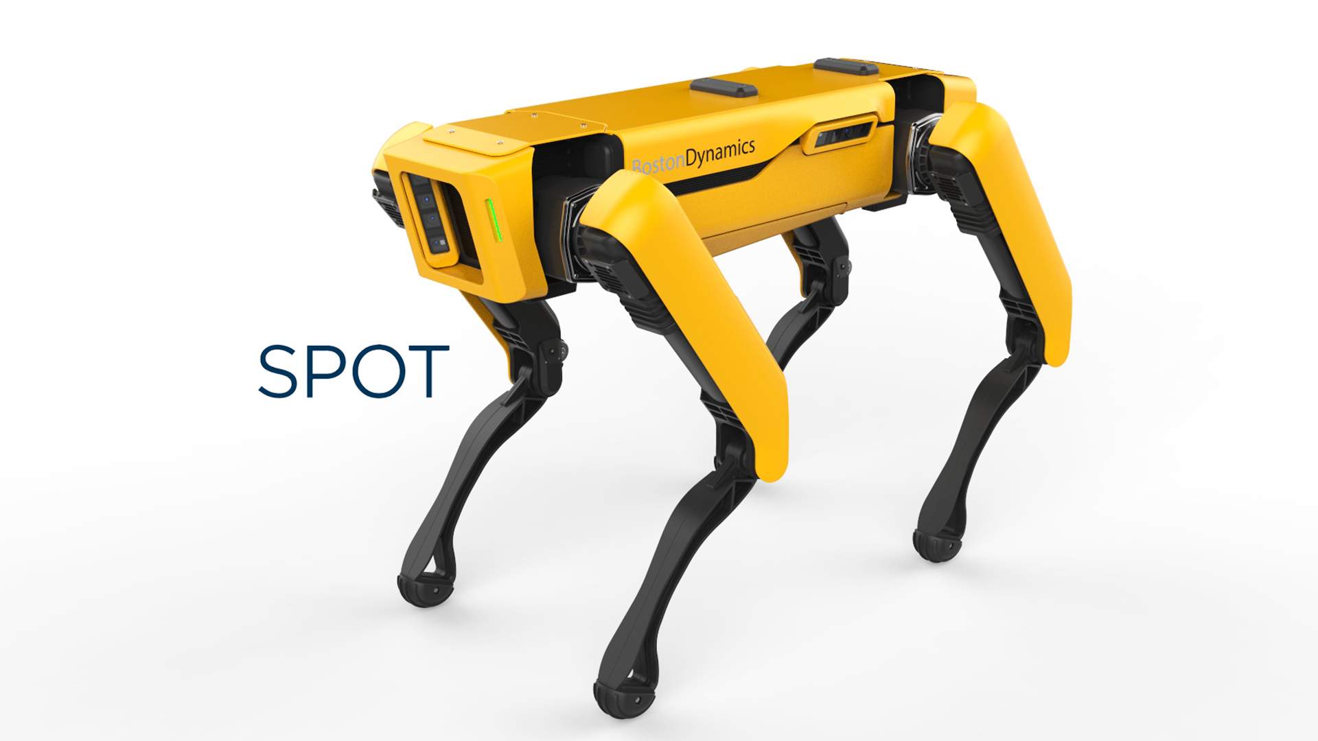 ParaBOT. Rent-A-BOT. Boston Dynamics Spot.