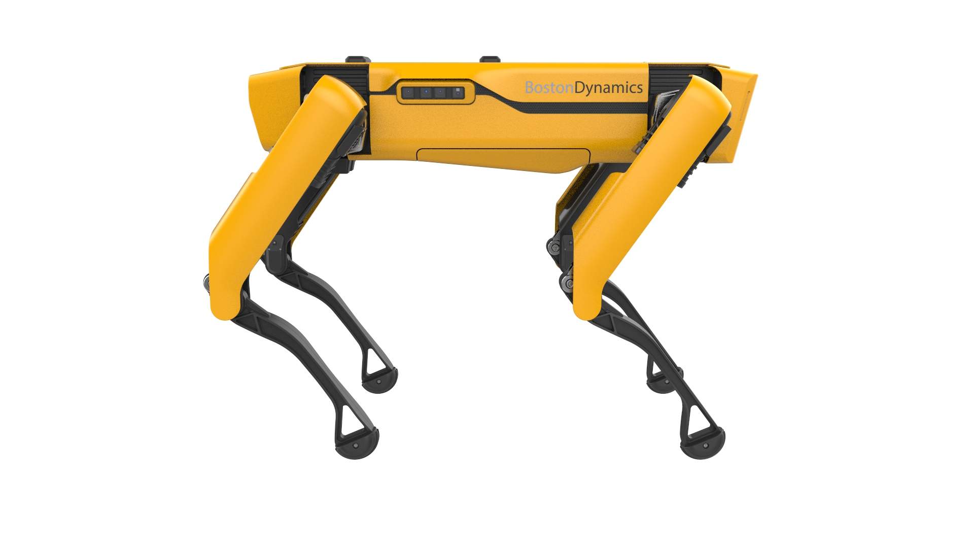 ParaBOT. Rent-A-BOT. Boston Dynamics Spot.