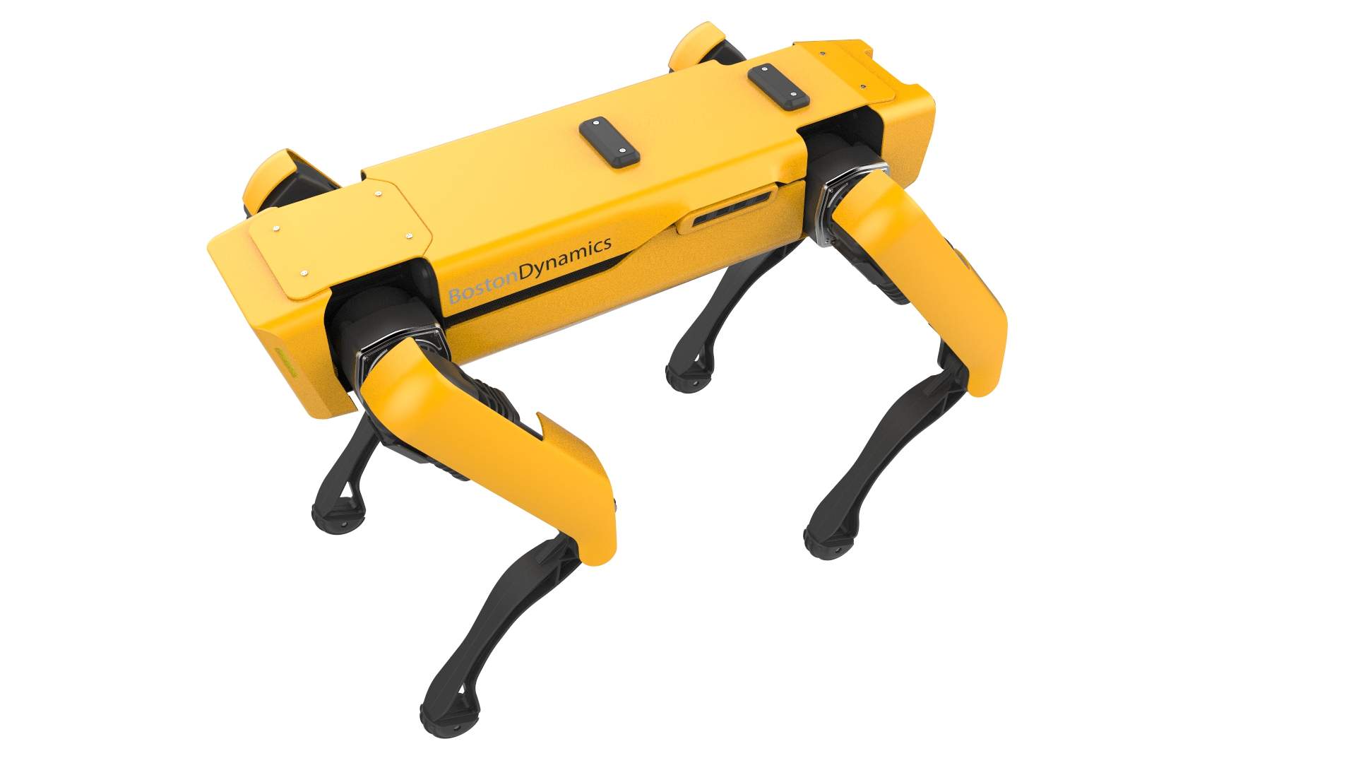ParaBOT. Rent-A-BOT. Boston Dynamics Spot.
