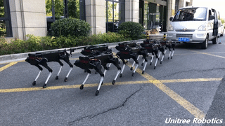 ParaBOT. Rent-A-BOT. Unitree Aliengo.